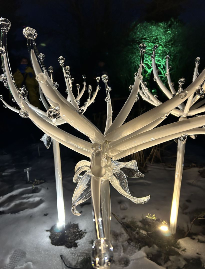 Fantastické sklené diela Jiřího Pačinka sú v...