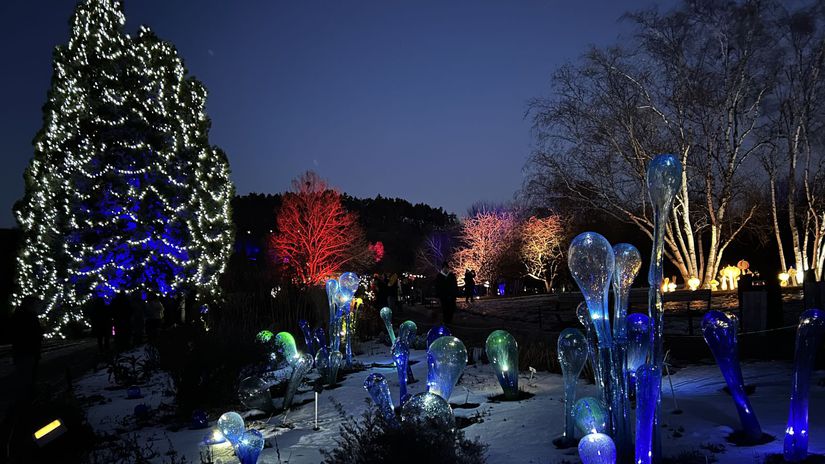 Krištáľová záhrada, Praha