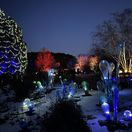 Krištáľová záhrada, Praha