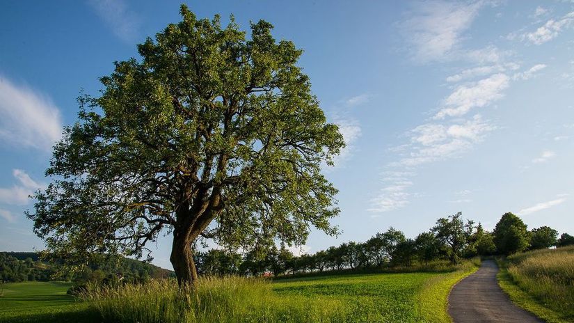 Obec Bošáca - miestna časť Zabudišová - Hruška...