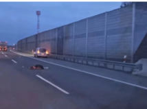 zilina telo na ceste