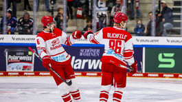 Nemecko šport hokej NP Slovensko Dánsko