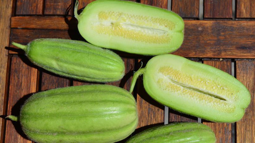 Tradičná talianska krajová odroda uhorky...