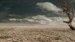 Svet ho už vymazával z mapy, teraz sa deje zázrak a voda stúpla o 42 %! Ako Kazachstan resuscituje „mŕtve“ Aralské jazero?