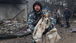 Ľudia evakuujú zranené psy po tom, čo ruský...