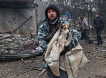 záchranárske psy, útulok, vojna na Ukrajine, ruský útok