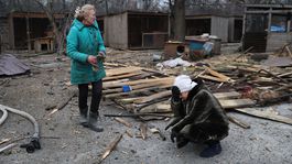 Ďalšie ruské barbarstvo: zabili záchranárske psy