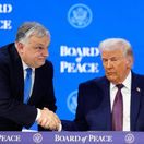 trump orbán