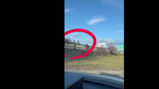 VIDEO: Veselo po diaľnici. Policajti na D1 ratovali život riskujúceho kolobežkára