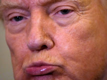 Donald Trump / Donald Tusk /