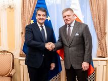 fico, Raffaello Fitto