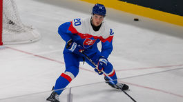 Prvý zápas na ZOH 2026: Slovensko - Fínsko