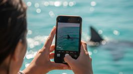 Krvavá daň za selfie. Turistka prišla o obe ruky po tom, čo sa snažila odfotiť s dravcom