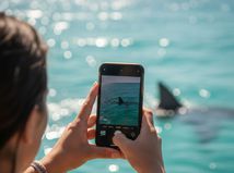 Krvavá daň za selfie. Turistka prišla o obe...