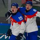 Slovensko zaskočilo veľmoci. Víťazstvo v skupine a postup do štvrťfinále, rozhodol gól Dvorského