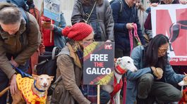 Napriek demonštráciám v Európe sa situácia...