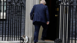 Larry: kocúr, ktorý „šéfuje“ Downing Street 10