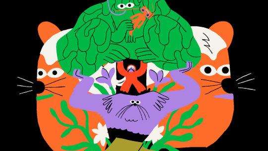 Radio_Head, vizuál, Rádiohlavy