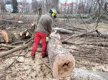 stromy, výrub, park, Banská Bystrica