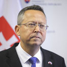 Kamenický