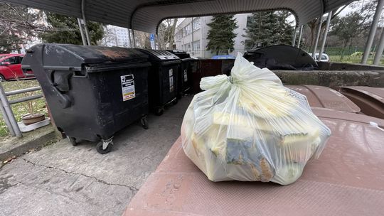 potkany, Petržalka, kontajnerové stojiská,...