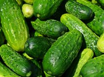 Cucumbers / Uhorky /
