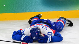 Štvrťfinále Slovensko - Nemecko v obrazoch