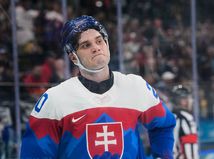 Frustrovaní Slováci trieskali hokejkami....