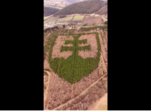 Štátny znak, Slovensko, mReportér