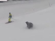 Adrenalín, ktorý v cene skipasu nebol. Video...