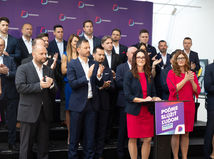 Tlačová beseda strany Demokrati