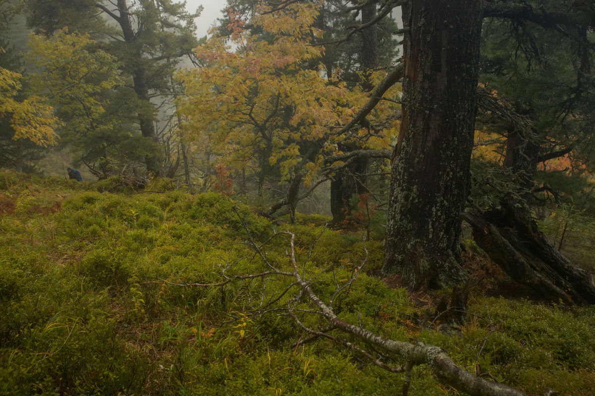 Európska komisia kladie Tatry, konkrétne Tichú...