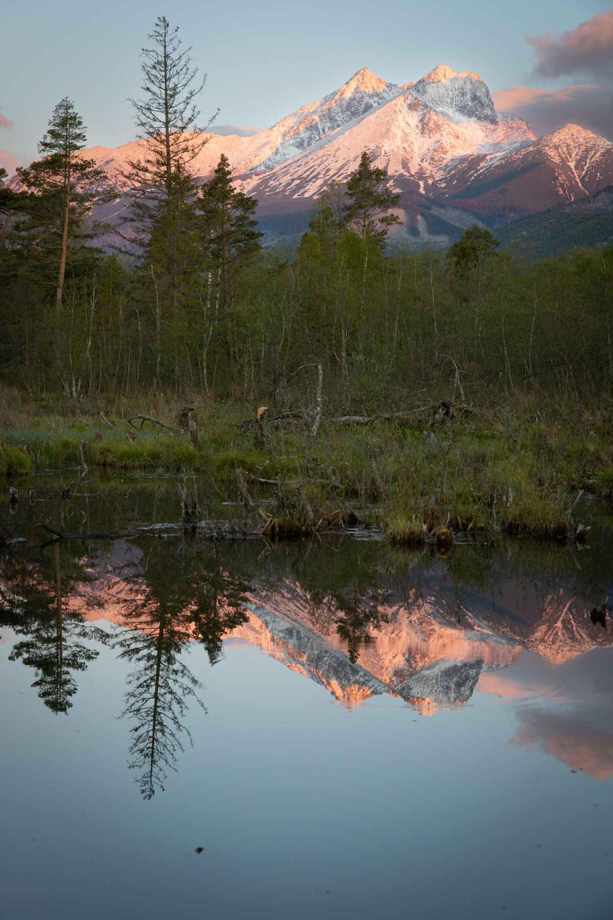 ,,Je to fascinujúce. Ostrovy divokej arktickej...