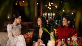 Ruža pre nevestu IV.