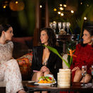 Ruža pre nevestu IV.