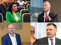 Jana Bittó Cigániková, Boris Kollár, Richard Sulík, Tomáš Taraba