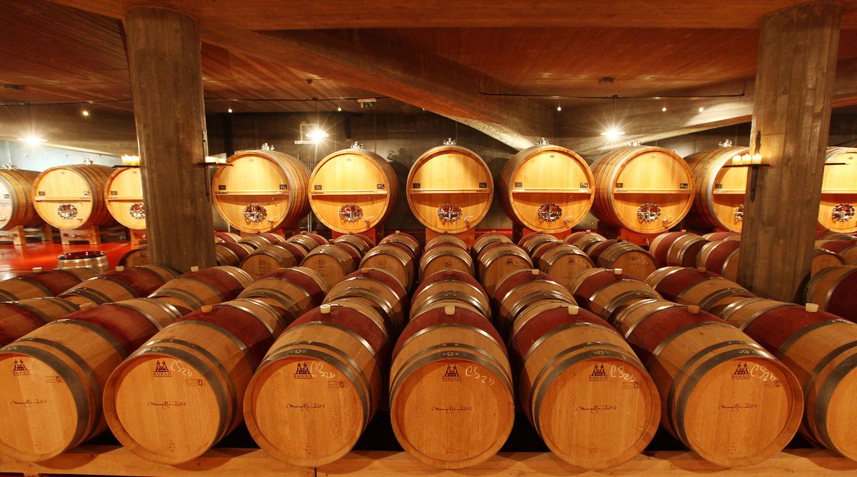 Pohľad do pivnice vinárstva Víno Mrva &amp;...