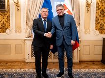 Michael McGrath, robert fico