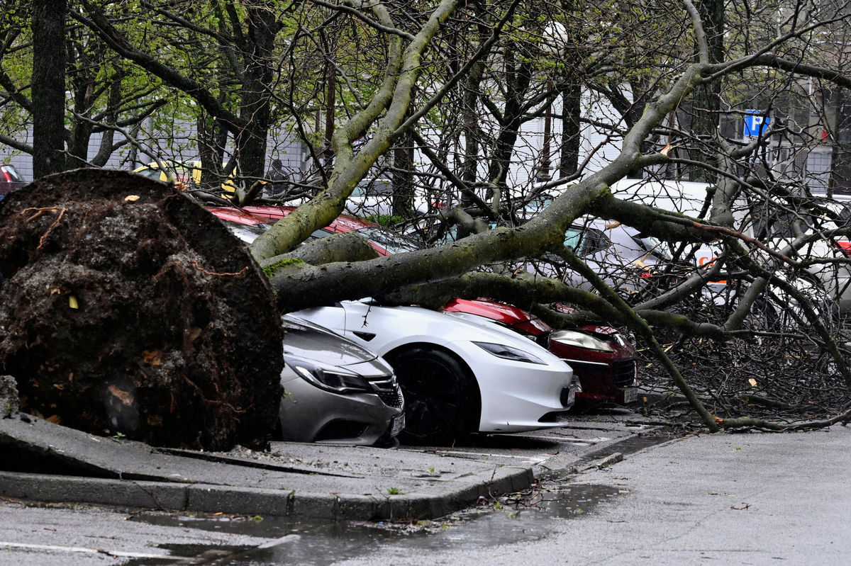 Popadané stromy v chorvátskom Záhrebe.