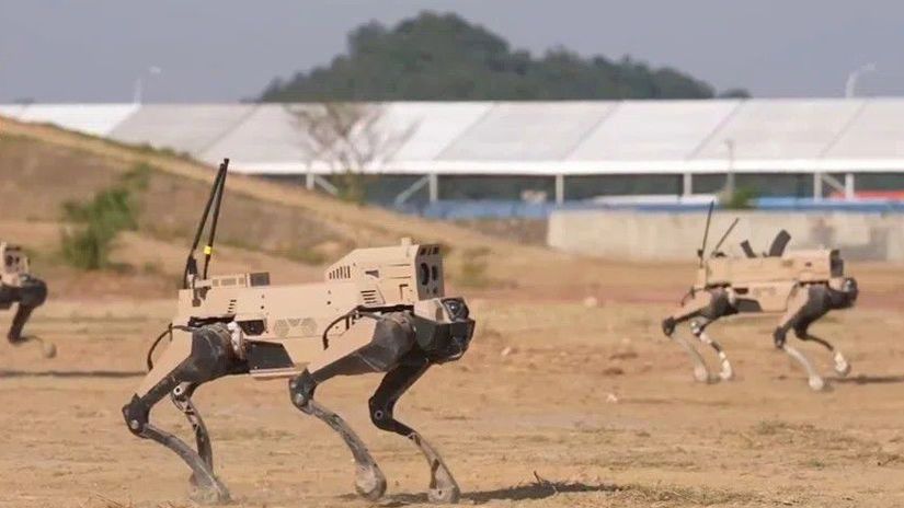 Čínska robotická svorka vlkov