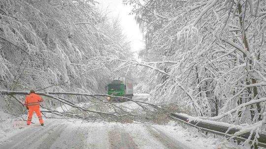 Zima udrela na východe: popadané stromy blokujú cesty, Spišský hrad zatvorili