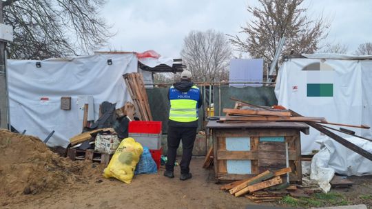 Na pozemku našli 56 psov: Veterinári ich v Záhorskej Vsi odobrali za asistencie polície