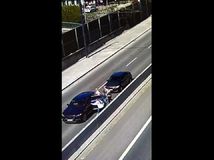 bitka zoo policia agresia