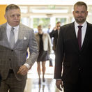 fico šaško