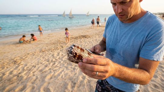 plaz musla homolka egypt dovolenka cestovanie strednaW