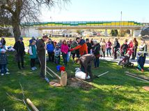 sad, jablone, Brezno