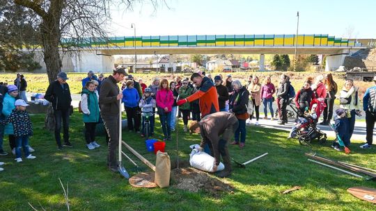 Na brehu Hrona pribudli jablone zasadené desiatkami rodín. Stromy sú označené ich menami