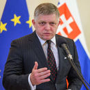 Péter Magyar, Robert Fico