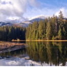 Vrbické pleso, mReportér