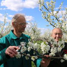 Jozef Jamrich, Ján Roman